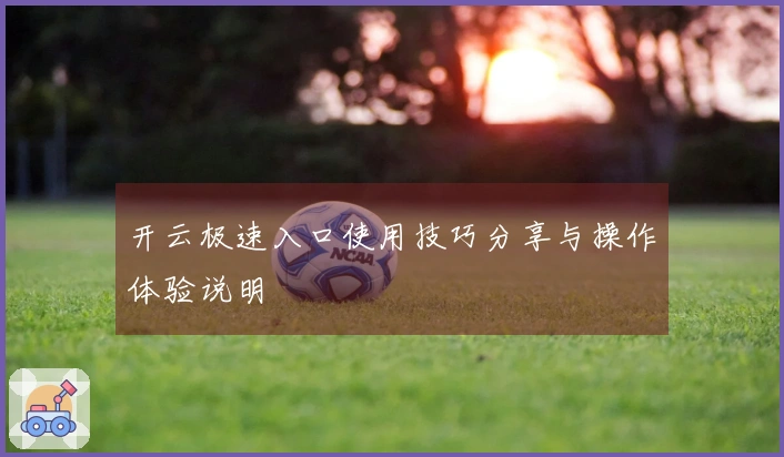 开云极速入口使用技巧分享与操作体验说明