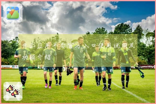 开云应用平台官方入口使用说明及功能介绍