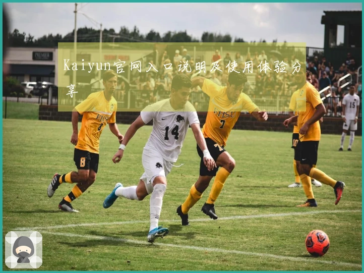 Kaiyun官网入口说明及使用体验分享